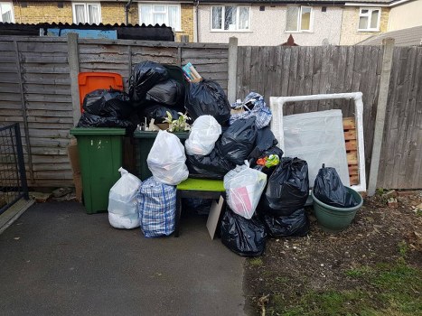 Clean Bermondsey garden with freshly removed waste