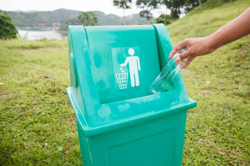 Mini, midi, and builder skips for different household projects